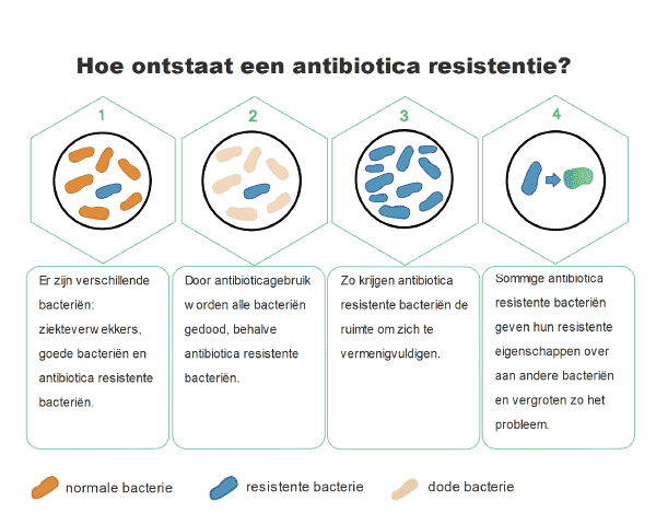 Ontstaan antibioticaresistente bacterie 1