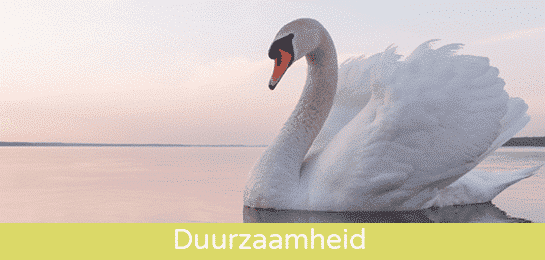 duurzaamheid nordic ecolabel