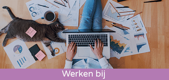 werken bij vacatures abena solliciteren