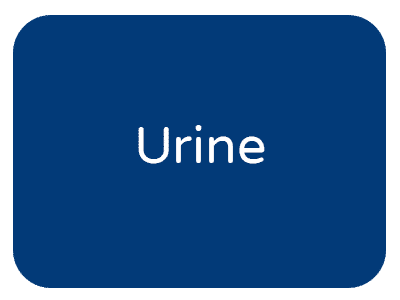 Urine